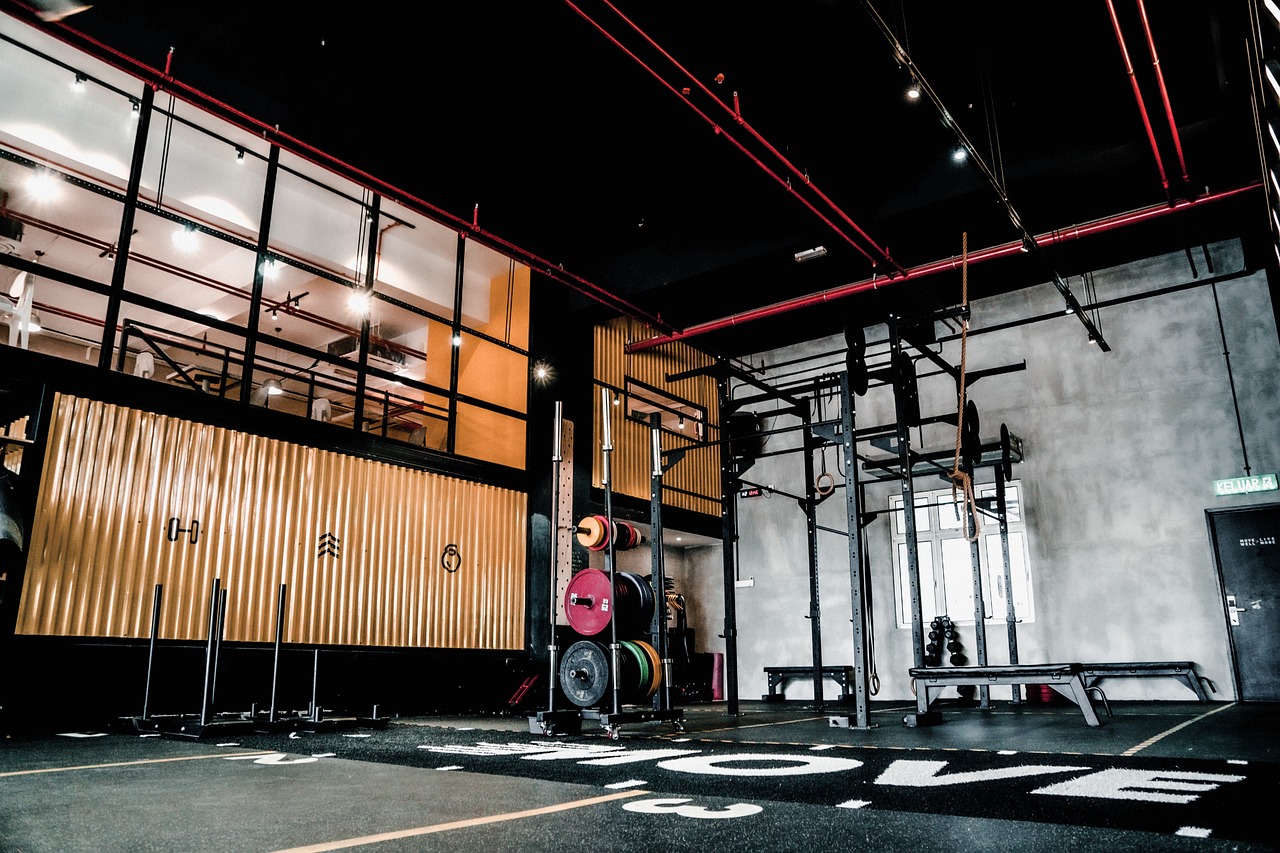 gym, fit, exercise, sports, workout, fitness, health, gym, gym, gym, gym, gym